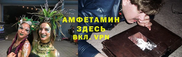 ECSTASY Пересвет